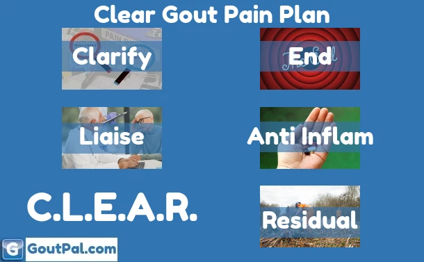 Clear Gout Pain Plan