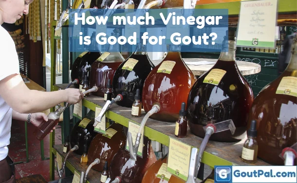 How much Vinegar is Good for Gout?