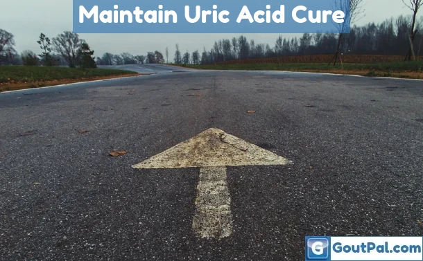 Maintaining Your Uric Acid Cure