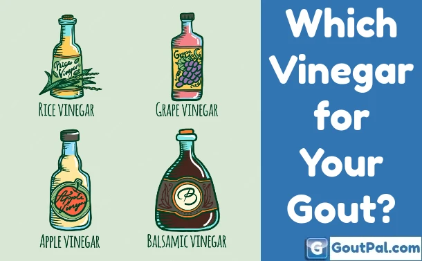 Gout And Vinegar Facts And FAQs GoutPal Gout Help