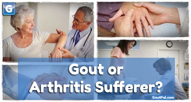 GoutPal Arthritis Sufferer Plan