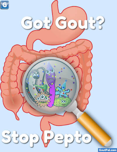Got Gout? Stop Pepto!