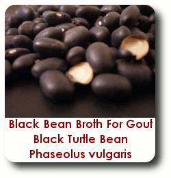Black Bean Natural Remedy for Gout