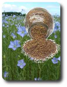 Benefit of Flaxseed Oil