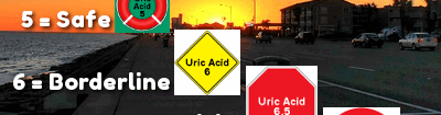 Uric Acid Levels graphic
