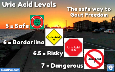 Uric Acid Levels in Medication For Gout Aftercare