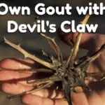 Own Gout with Devil's Claw