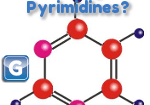 Pyrimidines Molecule