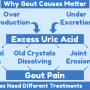 Why Gout Causes Matter Image