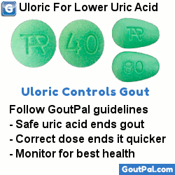 Uloric For Lower Uric Acid
