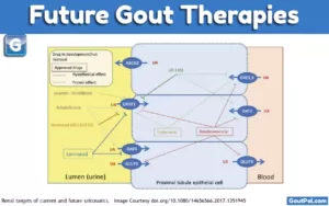 Future Gout Therapies