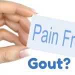 Pain Free Gout