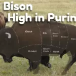 Is Bison High in Purines?