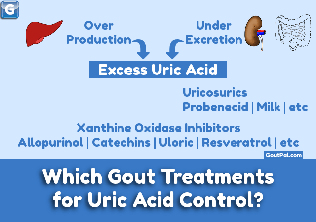 Which Gout Treatments for Uric Acid Control image