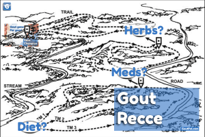 Gout Recce Group image