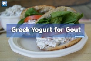 Greek Yogurt for Gout photo
