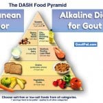 Mediterranean, DASH, or Alkaline Diet for Gout?