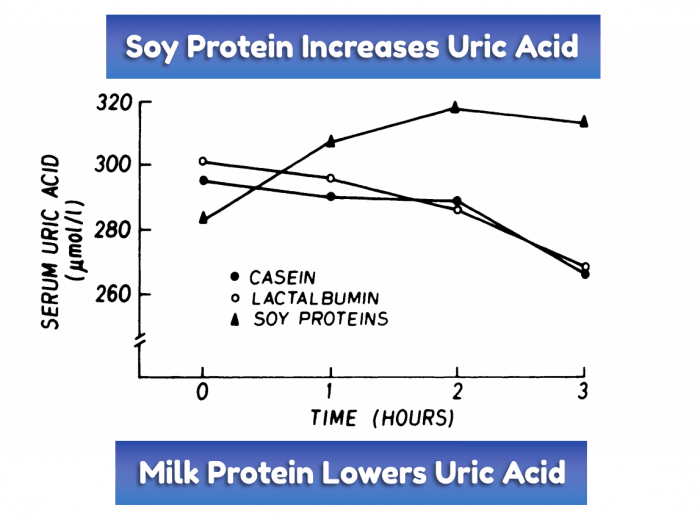 Milk Protein Soy Protein And Uric Acid Goutpal Gout Help