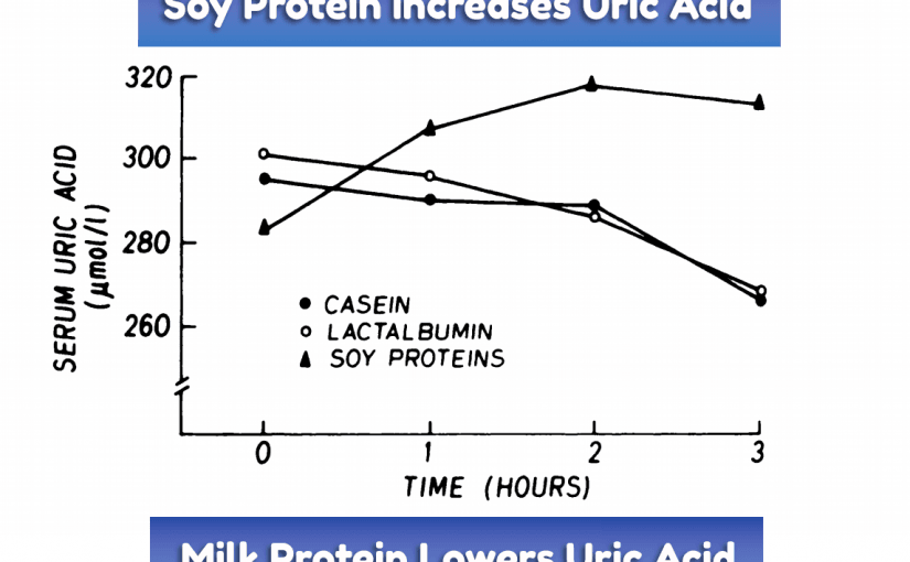 Milk Protein, Soy Protein & Uric Acid