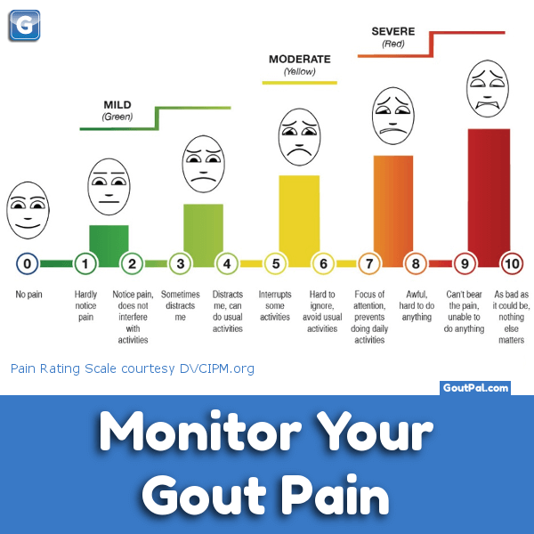 Monitor your Gout Pain